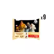 Pet republic kesice za macke 9x (4x100g) piletina x36 kesica ( 5842 )
