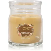 Yankee Candle Signature Glistening Leaves srednjevelika dišeča sveča, 368 g