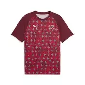 PUMA Switzerland Warmup Jersey Men, Football, Regal Red/White, XL