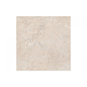 Pantheon Evolution Ebur 100x100