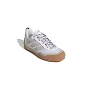 ADIDAS TERREX Nizki čevelj Skychaser Solo ecru/pueblo/bela/off-bela