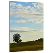 shumee Platno Narava Drevo na polju 60x90 cm Nebo Travnik Oblaki