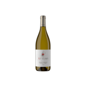 Attems Vino Pinot Grigio Collio 2023 0,75 l