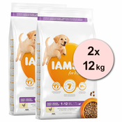 Iams Dog Puppy Large Breed, Chicken 2x12 kg