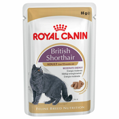 Royal Canin Breed British Shorthair - 24 x 85 g