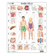 Dino - Puzzle Vzdelávacie puzzle: Telo - 1 - 39 kosov