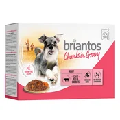 Ekonomicno pakiranje Briantos Chunks in Gravy 48 x 100 g - Govedina i mrkva