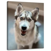 shumee Platno s tiskom Živali Portret psa 30x40 cm Pes