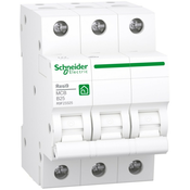 SCHNEIDER APC Schneider Electric miniaturni odklopnik R9F23325, (21040635)