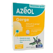 Pileje Azéol Sucking Tablets Honey Lemon Flavor x30