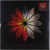 Archetypes Collide - Archetypes Collide (Limited Edition) (LP)