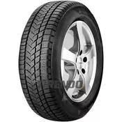 Sunny zimska pnevmatika 245/40R20 99V NW211