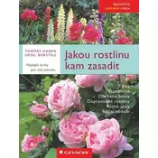 Jakou rostlinu kam zasadit