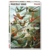 Sestavljanka puzzle 1000 delna Piatnik Kolibri