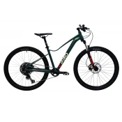CAPRIOLO Mountain bike AL-EVE 7.7 Maslina 13