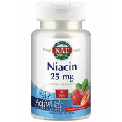 Niacin 25mg ActivMelt Strawberry-200 Lozenges