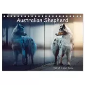 Australian Shepherd - Vielfalt in einer Rasse (Tischkalender 2026 DIN A5 quer), CALVENDO Monatskalender