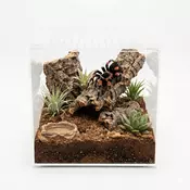 Terarij akrilni 20x20x20cm Happet - 23,3x16x17 cm