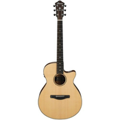 IBANEZ AEG200-LGS Akusticna gitara