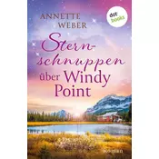 Sternschnuppen über Windy Point