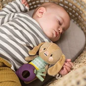 Taf Toys zeka sa glodalicom