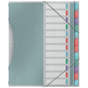 Esselte Esselte organizator mapa Color, Ice, A4, PP, 12 predelkov, (21651977)