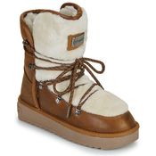 D.Franklin  NORDIC 370  Kostanjeva