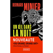 Un oeil dans la nuit
