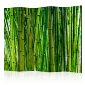 artgeist Paravan Bamboo Forest I, 5-Delni, Akustičen