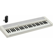 Casio CT-S1 White SET