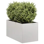 vidaXL vidaXL Sadilnik 40x80x40 cm iz nerjavečega jekla, (21746713)