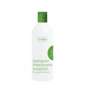 Ziaja šampon MINT Intenzivna svežina 400 ml /0189
