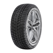 Radar Dimax Alpine ( 195/65 R15 91H )
