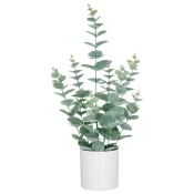 Mömax Umetna Rastlina Eukalyptus Ii -Paz-