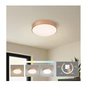 Brilagi - LED plafonsko svetlo POOL LED/36W/230V 3000/4000/6000K, precnik 30 cm, u boji bronze