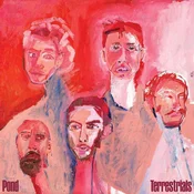 Pond - Terrestrials (CD)
