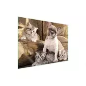shumee STEKLENA ZAŠČITNA PLOŠČA ZA ŠTEDILNIK 70x52 DOG