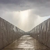 Bellini - Before The Day Has Gone (Opaque Red Coloured) (LP)