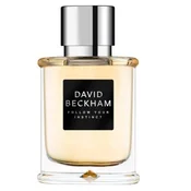 David Beckham Follow Your Instinct Toaletna voda - tester 50ml