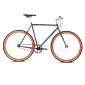 CAPRIOLO ROAD FASTBOY 700/1HT grafit