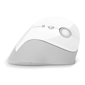CONNECT IT FOR HEALTH ergonomska navpična miška, ( 1x baterija AA brezplačno), brezžična, BELA