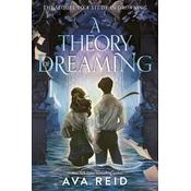 THEORY OF DREAMING