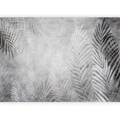 artgeist Fototapeta Palm Trees In The Dark, 400x280cm