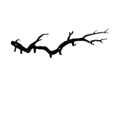 Wallity Bough Civiluk, 87x22 cm, Crni