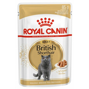 12x85 g Royal Canin Breed British Shorthair hrana za mačke