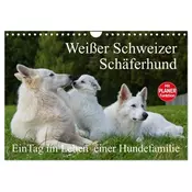Weißer Schweizer Schäferhund - Ein Tag im Leben einer Hundefamilie (Wandkalender 2026 DIN A4 quer), CALVENDO Monatskalender