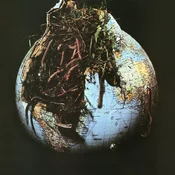 Drosselbart - Drosselbart (Limited Edition) (Random Coloured) (LP)