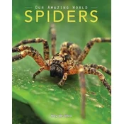 Spiders: Amazing Pictures & Fun Facts on Animals in Nature
