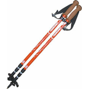 Planinske palice (model 65)