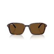 Ray-Ban Raimond Naocare za sunce RB 2231 902/57